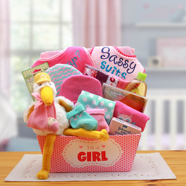 A Special Delivery  New Baby Gift Basket- Pink