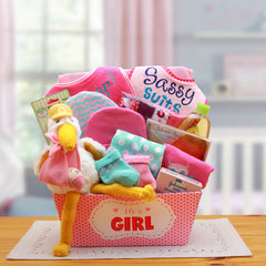 A Special Delivery  New Baby Gift Basket- Pink