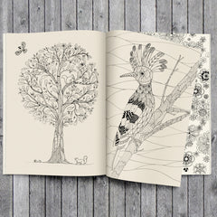 Personalized Adult's Coloring Book