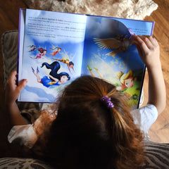 Personalized Disney Fairies Story Book