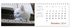 Personalized Cats Calendar