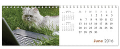 Personalized Cats Calendar