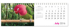 Personalized All Things Pink Calendar