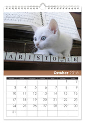 Personalized Cats Calendar