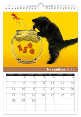 Personalized Cats Calendar