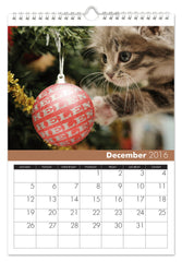 Personalized Cats Calendar