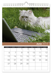 Personalized Cats Calendar