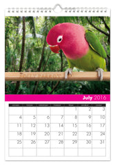 Personalized All Things Pink Calendar